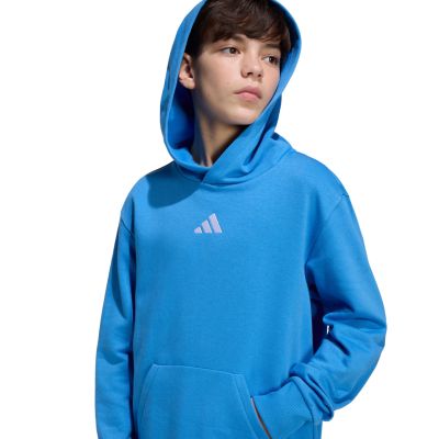 6. adidas Essentials Hoodie für Kinder blau KD3382