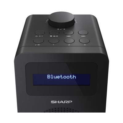 5. Sharp DR-430 Digitalkamera, Schwarz