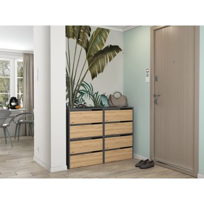 4. MODO ANT/ART SCHUHSCHRANK