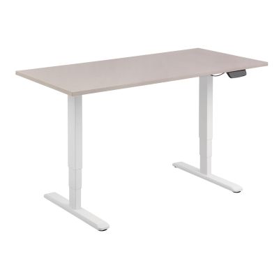 4. Elektrisches Schreibtischgestell mit zwei Motoren, 125 kg, WS Lite Einzelhandel