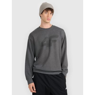 Herren-Sweatshirt ohne Reißverschluss, ohne Kapuze, 4F 4FRMM00TSWSM2479-23M