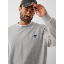 Herren-Sweatshirt 4F 4FRAW26TSWSM3303-27M