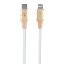 Guess Geprägtes Logo USB-C/ Lightning -Kabel 1,5 m Schnellladung – Gold