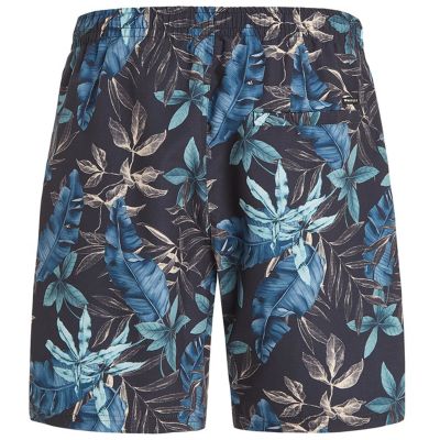 2. Herren-Badeshorts Protest PRTDORSET Beachshort