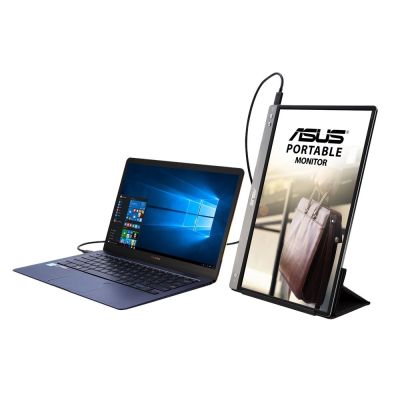 13. ASUS 14" MB14AC ZenScreen Monitor