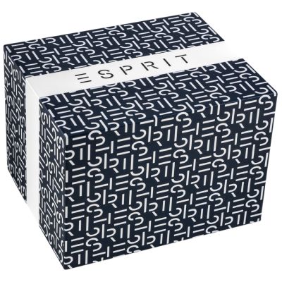 9. ESPRIT Hudson Herrenuhr ES1G373L0025 + Box