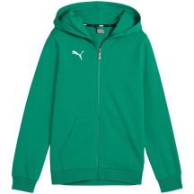 Puma teamGoal Casuals Kapuzenpullover für Kinder, Grün, 658596 05