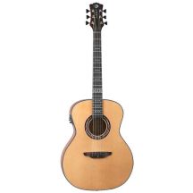 Luna Artist Craftsman - elektroakustische Gitarre