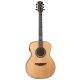 Luna Artist Craftsman - elektroakustische Gitarre