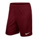Nike PARK II M 725887-677 Fußballshorts