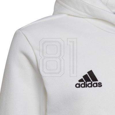 3. Sweatshirt adidas Entrada 22 Hoody Jr HG6303