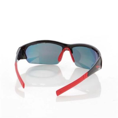 10. GOGGLE-SONNENBRILLE FW12 T428-2