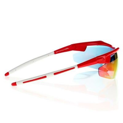 3. Goggle E690-3 Sonnenbrille