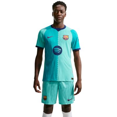 Herren-Fußballtrikot Nike FC Barcelona Match 2026/27 II6639 301