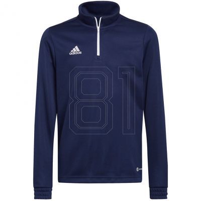Adidas Entrada 22 Tr Top Jr Sweatshirt H57484