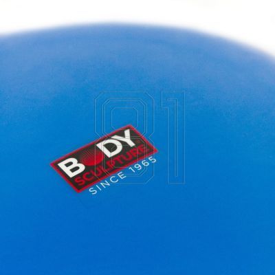 13. BB 015 Stabilisierungsscheibe