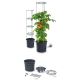 16. Tomatenpflanztopf mit Leiter, Fassungsvermögen 12 l