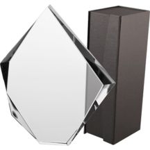 Glastrophäe mit Etui