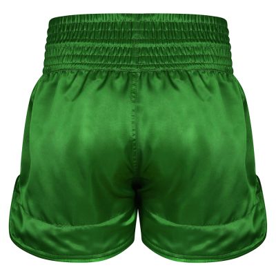 10. Herren-Thai-Shorts PASTEL GREEN V2 COMBATWEAR | DBX Bushido