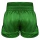 10. Herren-Thai-Shorts PASTEL GREEN V2 COMBATWEAR | DBX Bushido