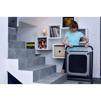 16. Kingsmith WalkingPad TRR1F R1 Sport-Laufband