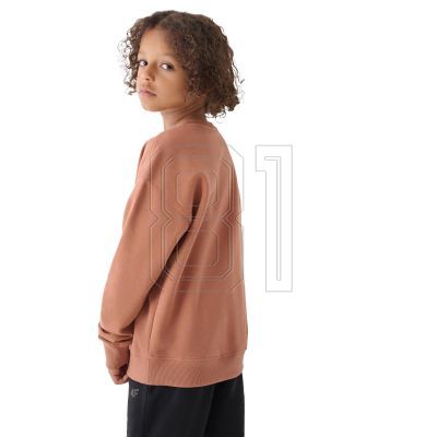 5. 4F M1224 Jr sweatshirt 4FJWAW24TSWSM1224-65S