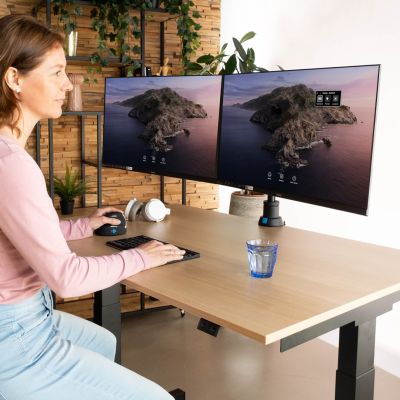 7. Monitorhalterung R-Go Tools R-Go Monitorarm 0"–32" 2 TFT Max. 9 kg Caparo 4 Gasfeder silber