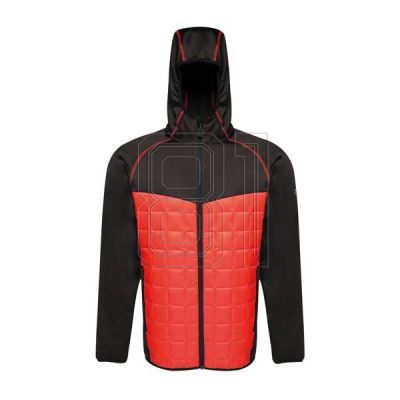 Regatta Modular Thermal M TRA517 92F Jacke