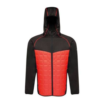 Regatta Modular Thermal M TRA517 92F Jacke