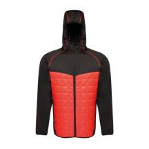 Regatta Modular Thermal M TRA517 92F Jacke