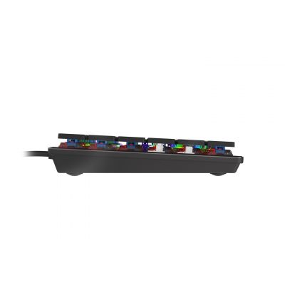 6. GENESIS Thor 420 RGB Gaming-Tastatur USB AZERTY US-Englisch Silber