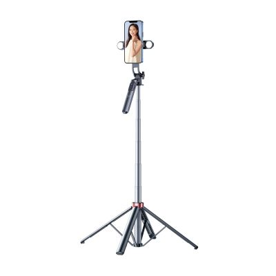 2. Selfie Stick WH181D-Y1S Teleskopstativ 1,75 m aus Aluminiumlegierung mit Dual-Licht und Telefonhalter – Schwarz