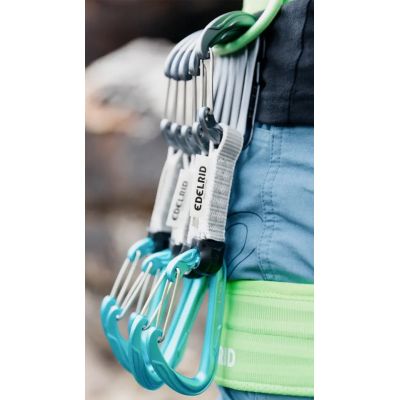 2. Edelrid 737930106020 Kletterkarabiner, Verschluss mit Verriegelung, D-Form, Blau, Silber, 6 Stück