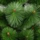 6. Klara Kunstschnur-Weihnachtsbaum, ungeteilt, 200 cm
