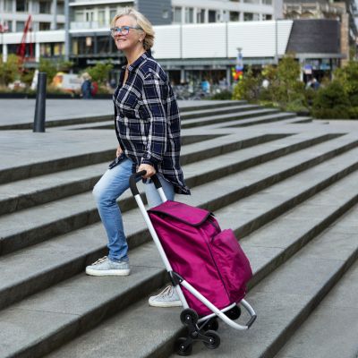 2. Expert Premium 604353 Einkaufswagen