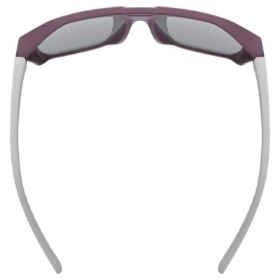5. Uvex Cosmic Unisex Vollformat Silber