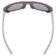 5. Uvex Cosmic Unisex Vollformat Silber