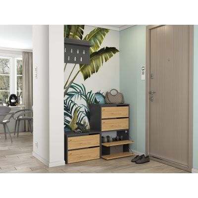 3. MODO ANT/ART SCHUHSCHRANK