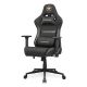 2. COUGAR CGR-A2F-GLB Universal-Gamingstuhl mit gepolsterter, bezogener Sitzfläche, Schwarz, Gold