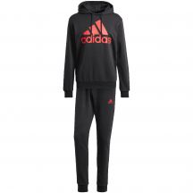 adidas Big Logo Terry Trainingsanzug M IP5553