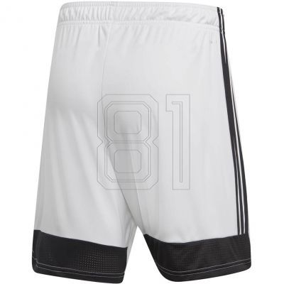 5. adidas Tastigo 19 Shorts M DP3247