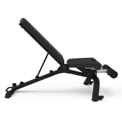 11. Bowflex 3.1S 100917 Trainingsbank