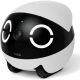 9. Enabot Rola Mini Companion Begleitroboter