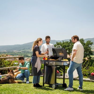 14. Black+Decker BXOG7200E Gasgrill, 2 Brenner x 3,6 kW