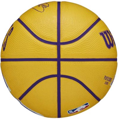 3. Wilson NBA Player Icon Stephen Curry Miniball WZ4007401XB