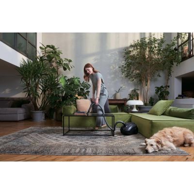 4. Hoover HE120PET 011 7809079 2,5-Liter-Staubsauger mit Trockenfunktion und 700-Watt-Staubbeutel