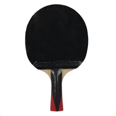 4. Tischtennisschläger Aurora PRO 4* SG 4002