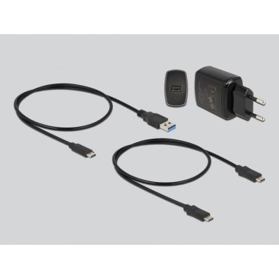 5. DeLOCK M.2 Dockingstation für 2 x M.2 SATA SSDs mit Klonfunktion
