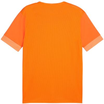 4. Puma teamGoal Spieltagstrikot M 705747 08