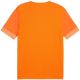 4. Puma teamGoal Spieltagstrikot M 705747 08